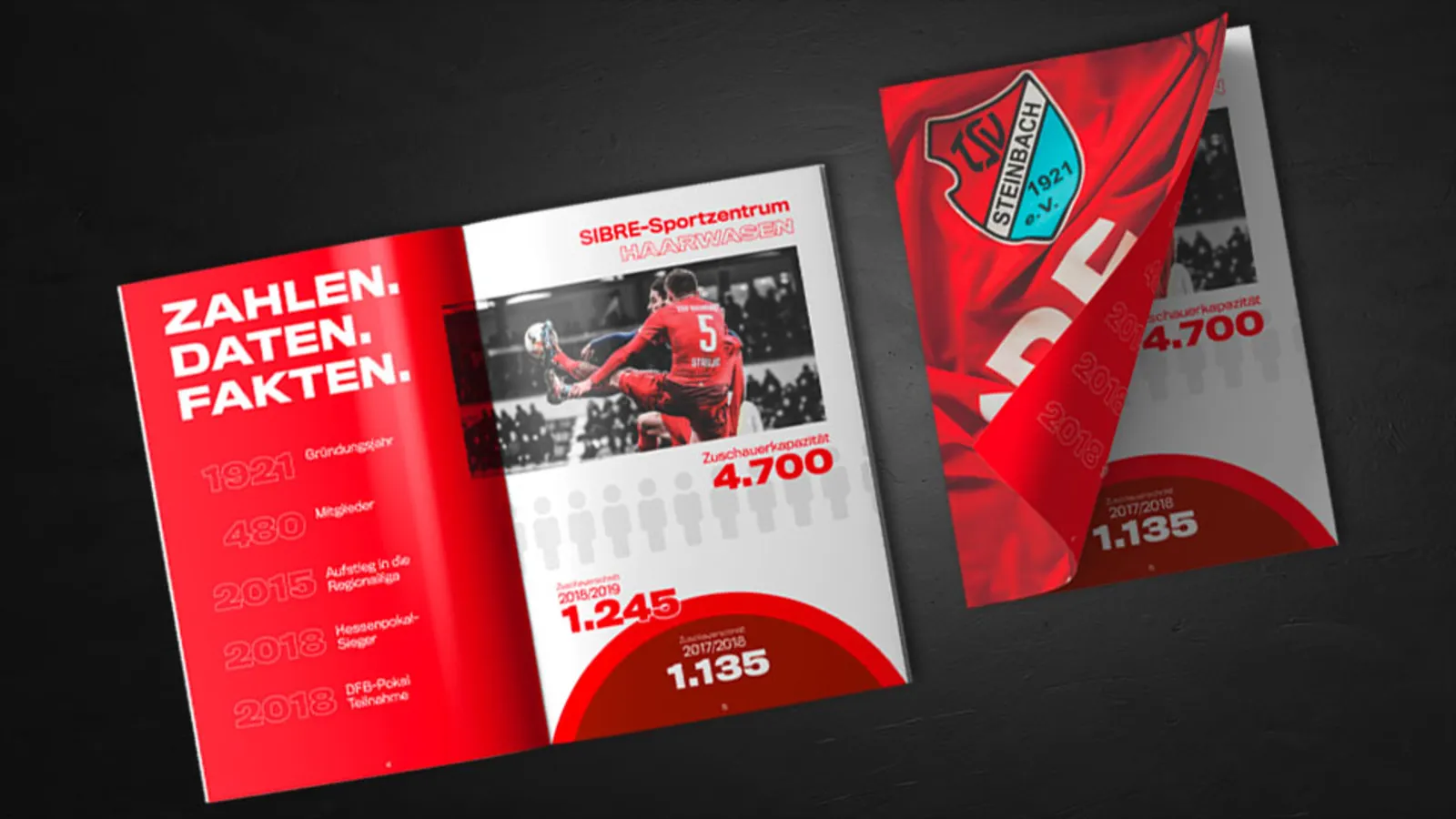 Referenz: TSV Steinbach Haiger